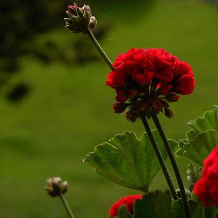 콜라보 Laerchhof 빌라 외부 사진
